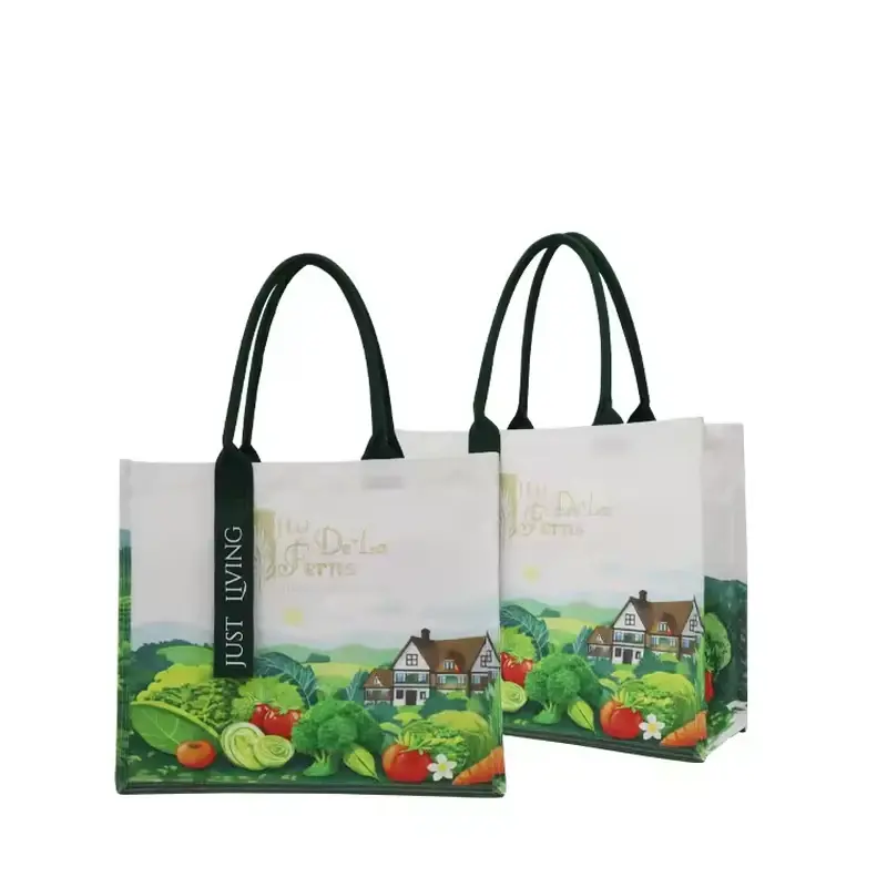 Two printed canvas tote bags with black handles and illustrated panels